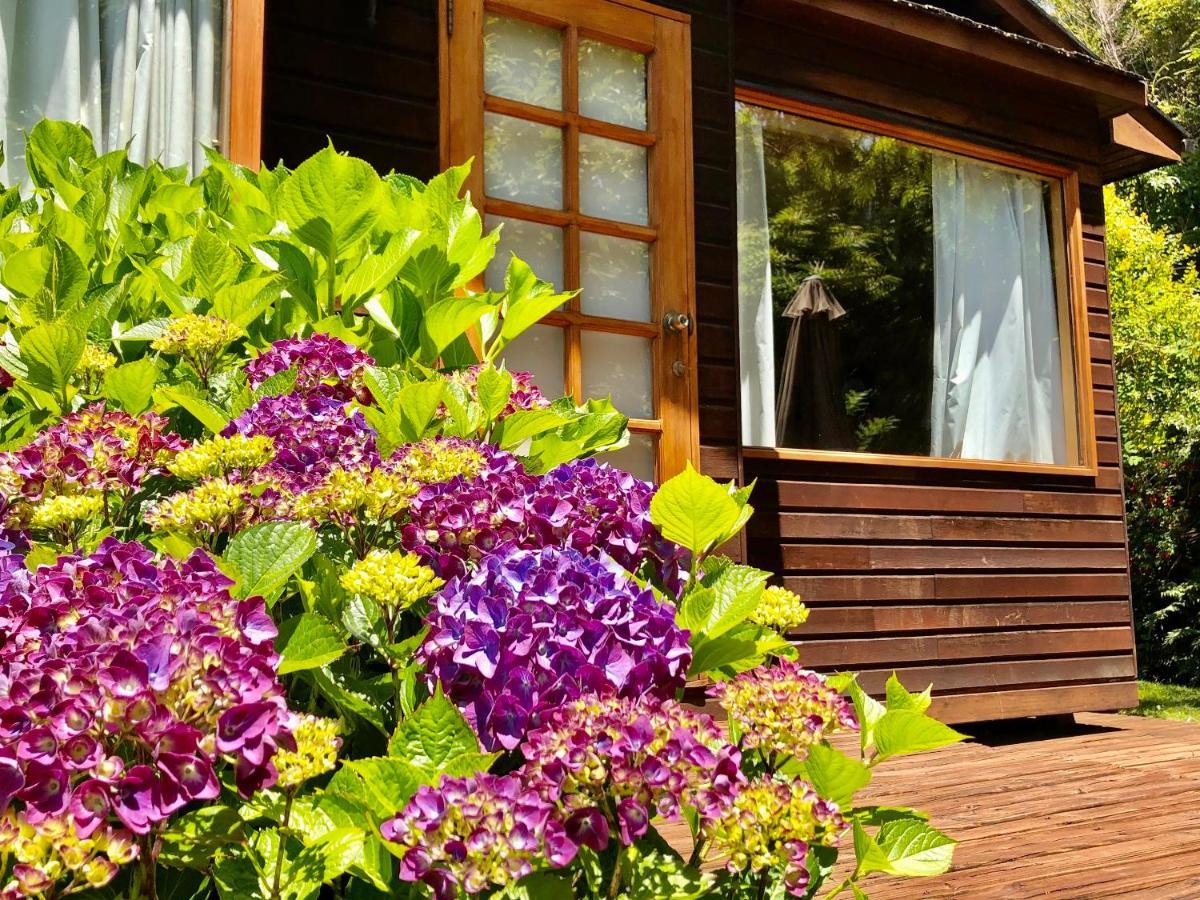 Cabanas Monte Verde Pucón Dış mekan fotoğraf